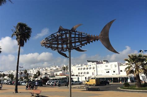 zaragoza conil|Conil de la Frontera to Zaragoza